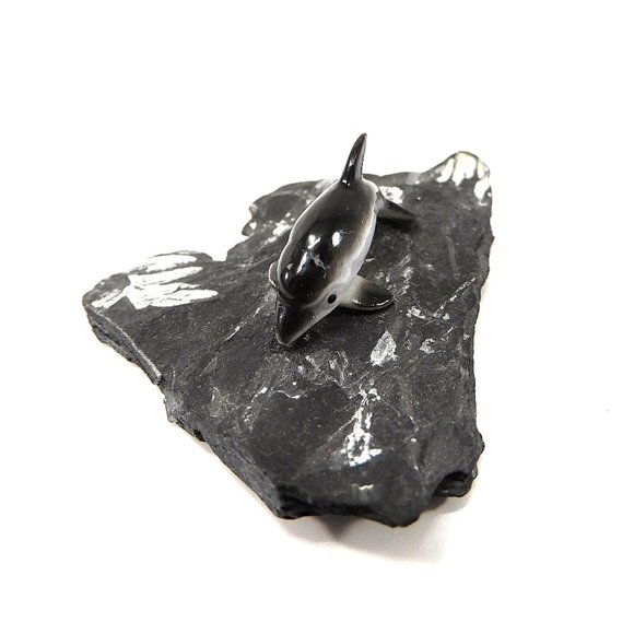 Minature Dolphin Figurine on Painted Slate 3.25" - Picture 5 of 8